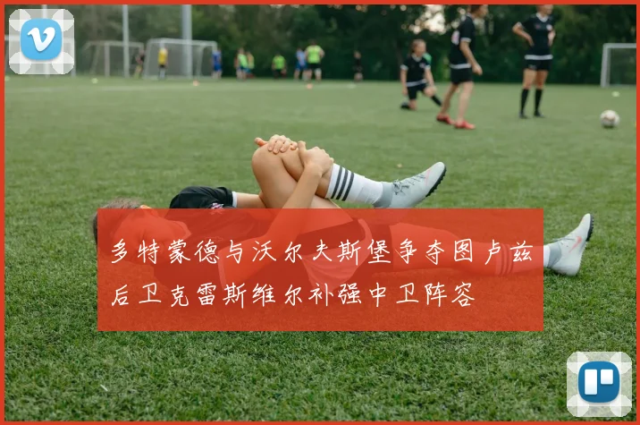 多特蒙德与沃尔夫斯堡争夺图卢兹后卫克雷斯维尔补强中卫阵容