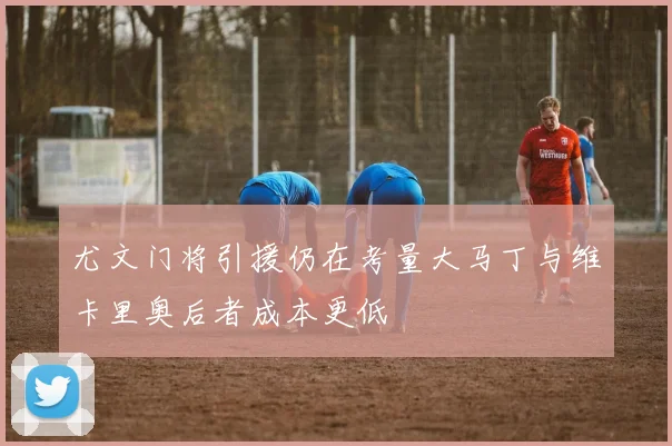 尤文门将引援仍在考量大马丁与维卡里奥后者成本更低