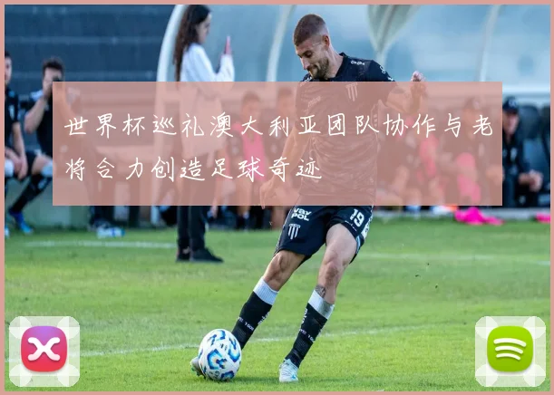 世界杯巡礼澳大利亚团队协作与老将合力创造足球奇迹