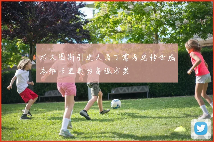 尤文图斯引进大马丁需考虑转会成本维卡里奥为备选方案